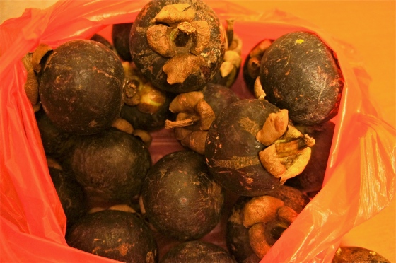 Exterior of the mangosteen