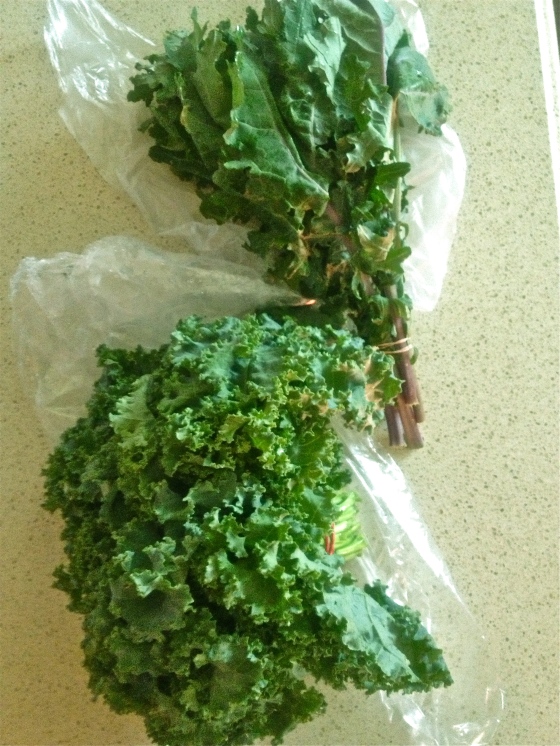 Fresh Organic Kale from Everdale Organic Farm at Brickworks